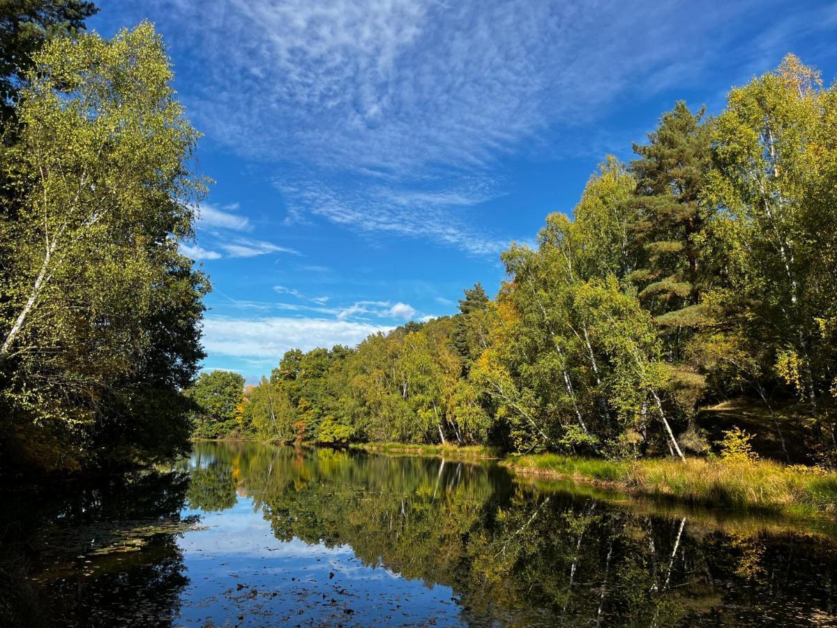 Ferienwohnung Am See Dillich - Eigener Garten - Ruhige Lage - Natur Vor Der Haustuer Borken  Exterior photo