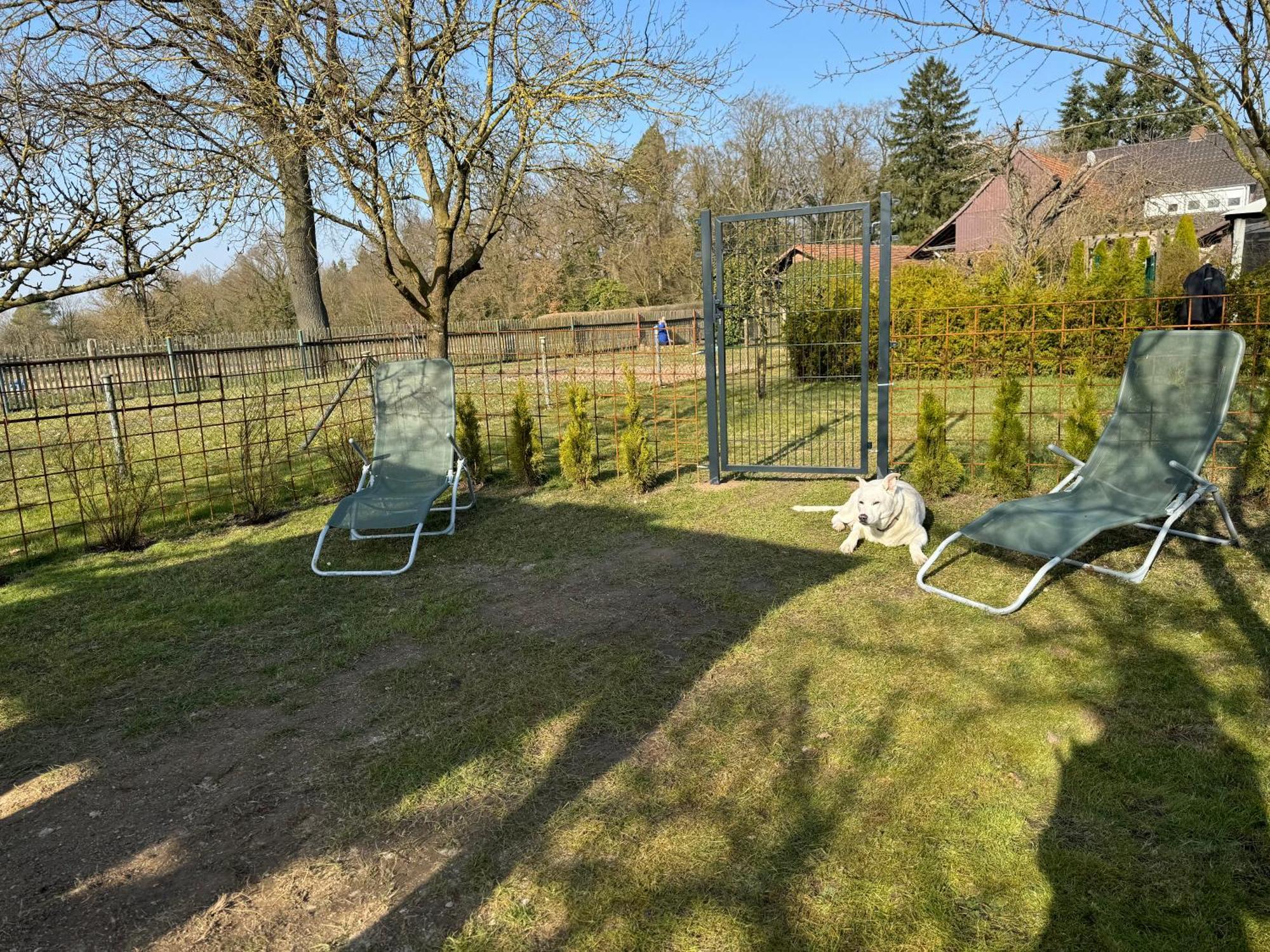Ferienwohnung Am See Dillich - Eigener Garten - Ruhige Lage - Natur Vor Der Haustuer Borken  Exterior photo